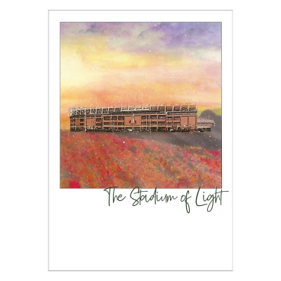 The Stadium of Light Postcard